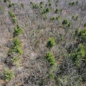 Photo #12 of Off Misty Acres Lane, Meadows of Dan, VA 4.9 acres
