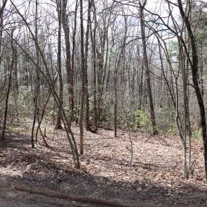 Photo #13 of Off Misty Acres Lane, Meadows of Dan, VA 4.9 acres