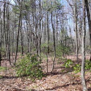 Photo #14 of Off Misty Acres Lane, Meadows of Dan, VA 4.9 acres