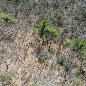 Photo #15 of Off Misty Acres Lane, Meadows of Dan, VA 4.9 acres