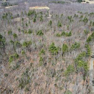 Photo #16 of Off Misty Acres Lane, Meadows of Dan, VA 4.9 acres