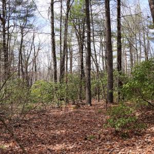 Photo #17 of Off Misty Acres Lane, Meadows of Dan, VA 4.9 acres