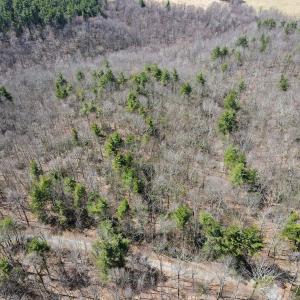 Photo #19 of Off Misty Acres Lane, Meadows of Dan, VA 4.9 acres