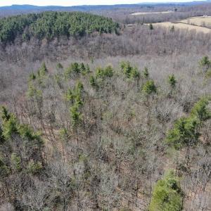 Photo #5 of Off Misty Acres Lane, Meadows of Dan, VA 4.9 acres