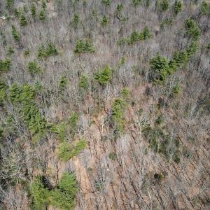 Photo #6 of Off Misty Acres Lane, Meadows of Dan, VA 4.9 acres