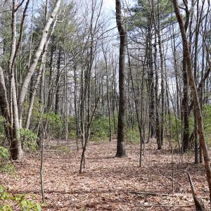 Photo #7 of Off Misty Acres Lane, Meadows of Dan, VA 4.9 acres