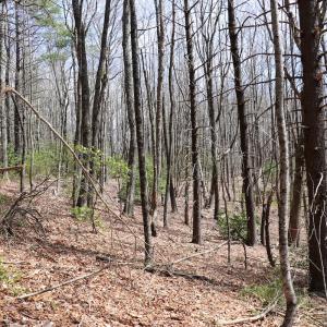 Photo #8 of Off Misty Acres Lane, Meadows of Dan, VA 4.9 acres