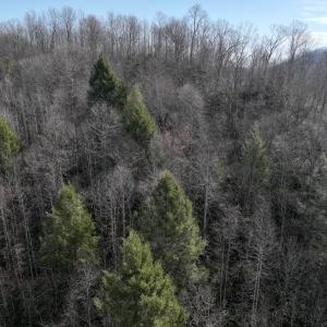 Photo #2 of Off Helen Henderson Highway, Honaker, VA 21.0 acres