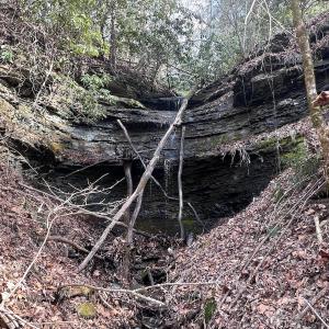 Photo #3 of Off Helen Henderson Highway, Honaker, VA 21.0 acres