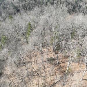 Photo #4 of Off Helen Henderson Highway, Honaker, VA 21.0 acres