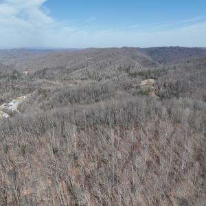 Photo #7 of Off Helen Henderson Highway, Honaker, VA 21.0 acres