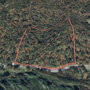 Photo #9 of Off Helen Henderson Highway, Honaker, VA 21.0 acres