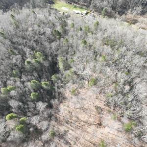 Photo #18 of Off Helen Henderson Highway, Honaker, VA 21.0 acres