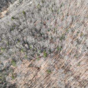 Photo #19 of Off Helen Henderson Highway, Honaker, VA 21.0 acres