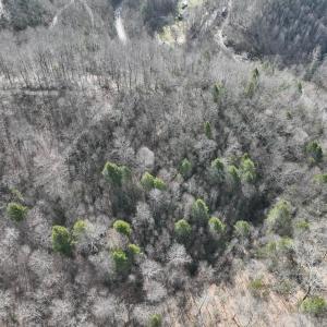 Photo #20 of Off Helen Henderson Highway, Honaker, VA 21.0 acres