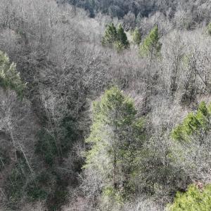 Photo #24 of Off Helen Henderson Highway, Honaker, VA 21.0 acres