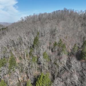 Photo #25 of Off Helen Henderson Highway, Honaker, VA 21.0 acres