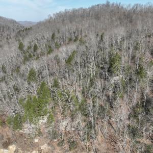 Photo #26 of Off Helen Henderson Highway, Honaker, VA 21.0 acres