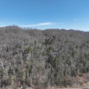 Photo #27 of Off Helen Henderson Highway, Honaker, VA 21.0 acres