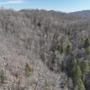 Photo #30 of Off Helen Henderson Highway, Honaker, VA 21.0 acres