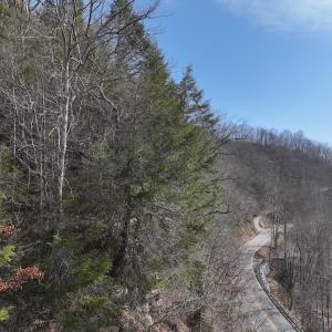 Photo #31 of Off Helen Henderson Highway, Honaker, VA 21.0 acres