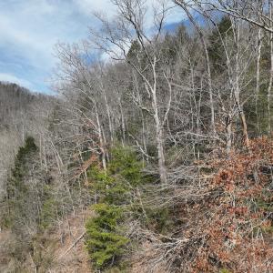 Photo #32 of Off Helen Henderson Highway, Honaker, VA 21.0 acres