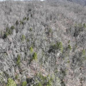 Photo #14 of Off Helen Henderson Highway, Honaker, VA 21.0 acres