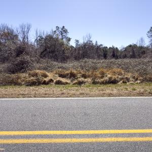Photo #9 of Lot-5, Off Goodman Road, Pelham, NC 7.4 acres