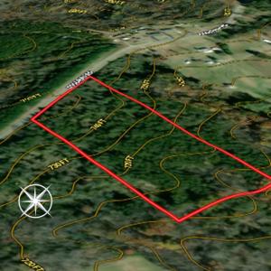 Photo #11 of Lot-5, Off Goodman Road, Pelham, NC 7.4 acres