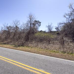 Photo #14 of Lot-5, Off Goodman Road, Pelham, NC 7.4 acres