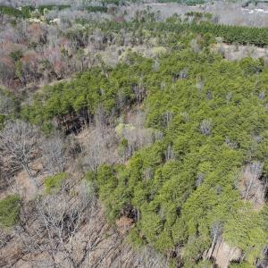 Photo #15 of Lot-5, Off Goodman Road, Pelham, NC 7.4 acres