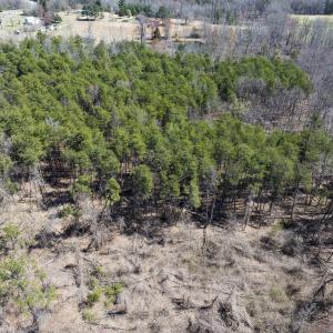 Photo #18 of Lot-5, Off Goodman Road, Pelham, NC 7.4 acres