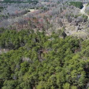 Photo #19 of Lot-5, Off Goodman Road, Pelham, NC 7.4 acres