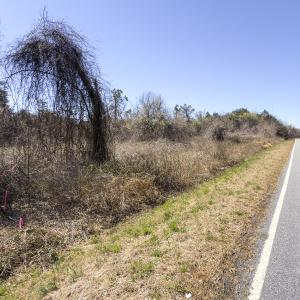Photo #20 of Lot-5, Off Goodman Road, Pelham, NC 7.4 acres