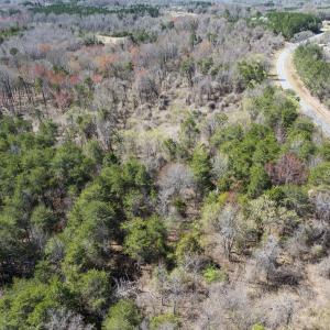 Photo #21 of Lot-5, Off Goodman Road, Pelham, NC 7.4 acres