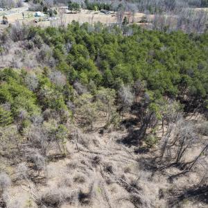 Photo #22 of Lot-5, Off Goodman Road, Pelham, NC 7.4 acres