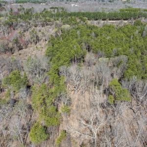 Photo #23 of Lot-5, Off Goodman Road, Pelham, NC 7.4 acres