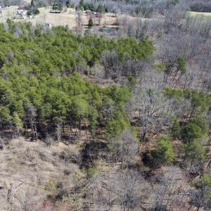 Photo #26 of Lot-5, Off Goodman Road, Pelham, NC 7.4 acres