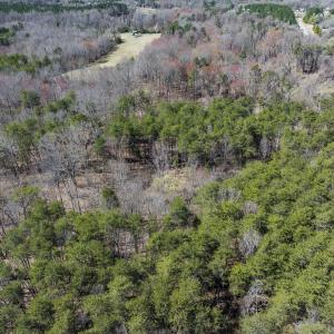 Photo #27 of Lot-5, Off Goodman Road, Pelham, NC 7.4 acres