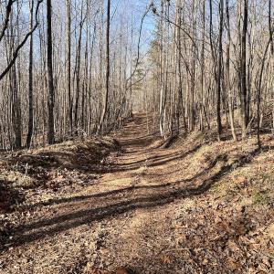 Photo #11 of SOLD property in Off Purcell rd , Reidsville, NC 143.5 acres