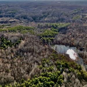 Photo #14 of SOLD property in Off Purcell rd , Reidsville, NC 143.5 acres