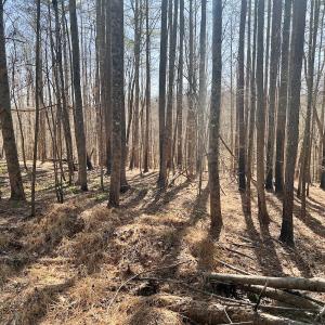 Photo #15 of SOLD property in Off Purcell rd , Reidsville, NC 143.5 acres