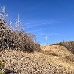 Photo #16 of SOLD property in Off Purcell rd , Reidsville, NC 143.5 acres