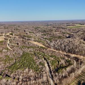 Photo #17 of SOLD property in Off Purcell rd , Reidsville, NC 143.5 acres
