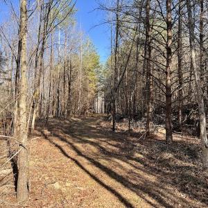 Photo #18 of SOLD property in Off Purcell rd , Reidsville, NC 143.5 acres