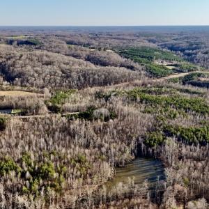 Photo #21 of SOLD property in Off Purcell rd , Reidsville, NC 143.5 acres