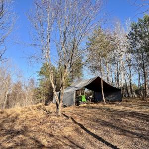 Photo #23 of SOLD property in Off Purcell rd , Reidsville, NC 143.5 acres