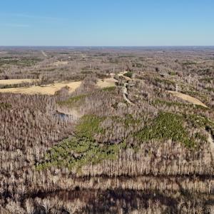 Photo #24 of SOLD property in Off Purcell rd , Reidsville, NC 143.5 acres