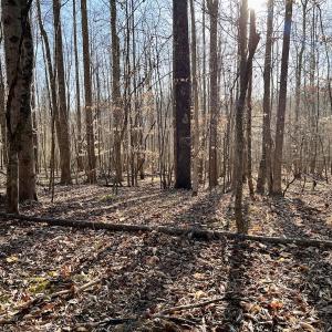 Photo #28 of SOLD property in Off Purcell rd , Reidsville, NC 143.5 acres