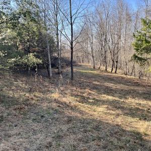 Photo #2 of SOLD property in Off Purcell rd , Reidsville, NC 143.5 acres